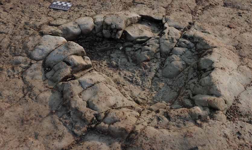 Giant Footprints Confirmed As Welsh 'diplodocus' | Liverpool John ...