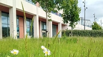 LJMU rated one of region's best environmental performers